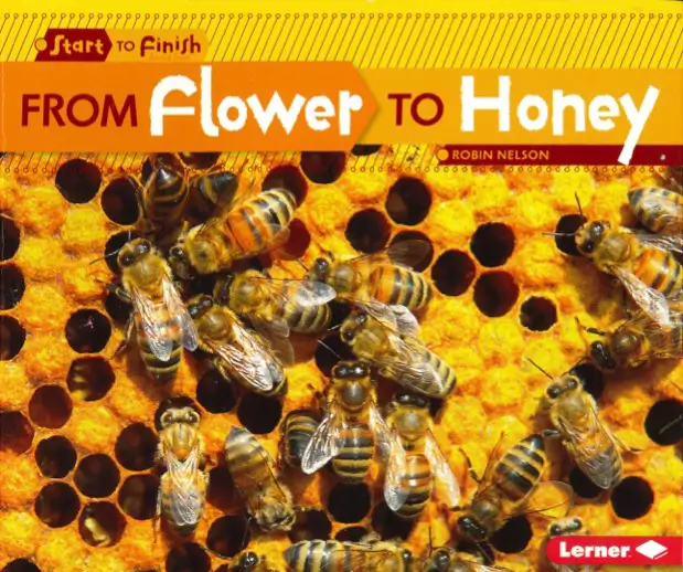 From Flower to Honey By Robin Nelson