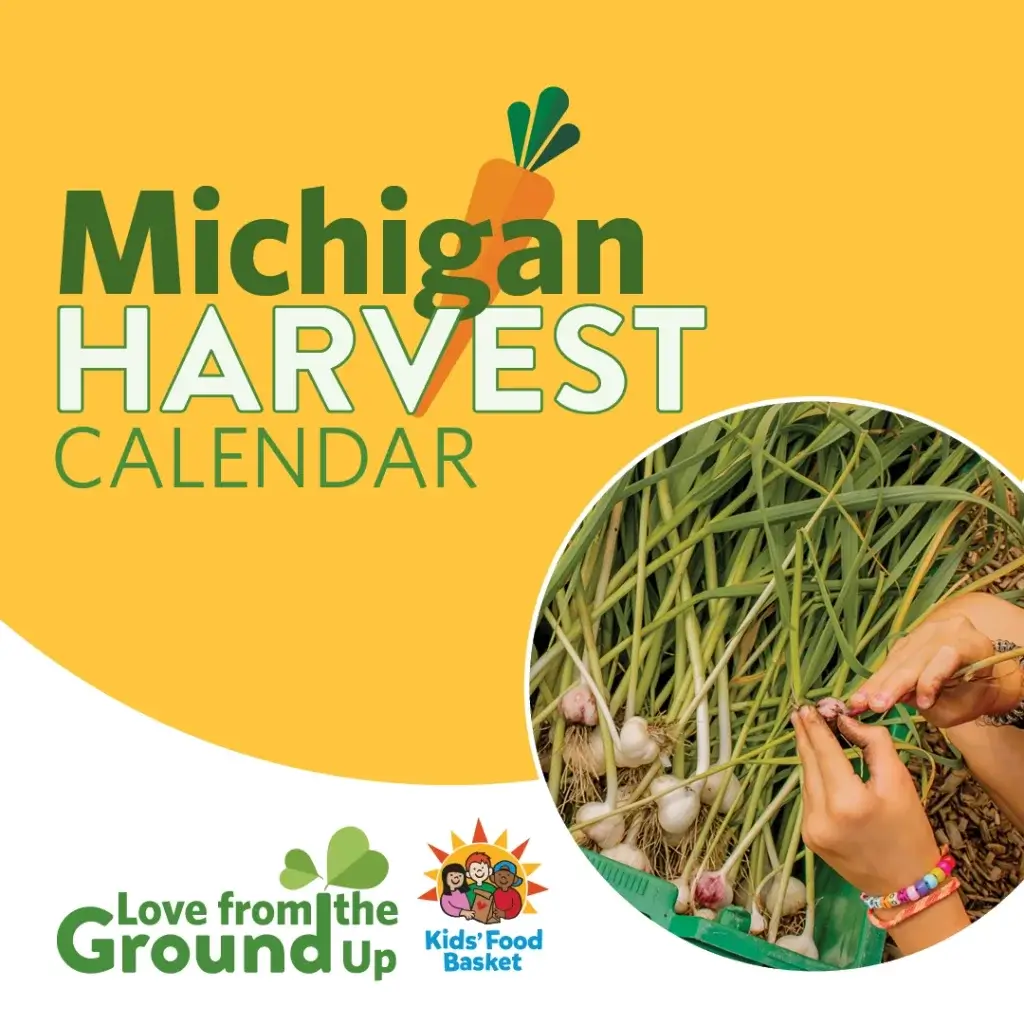 An infographic titled "Michigan Harvest Calendar," detailing the availability of various fruits and vegetables by month, from June to October. The layout includes a stylized map of Michigan, icons of fruits and vegetables like asparagus, cherries, and pumpkins, and corresponding harvest months color-coded in green, yellow, purple, blue, and pink. The infographic is designed with a vibrant color scheme and clear text, useful for identifying local produce peak seasons.