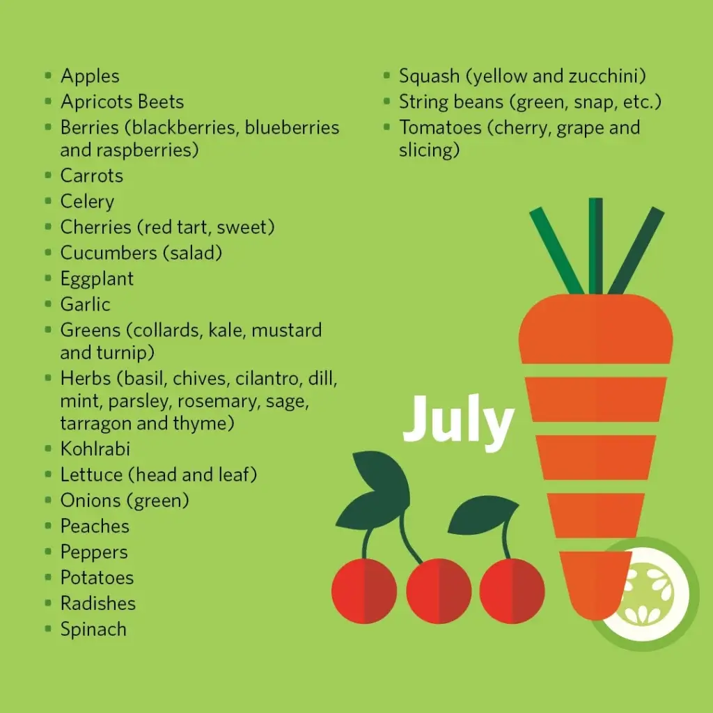 An infographic titled "Michigan Harvest Calendar," detailing the availability of various fruits and vegetables by month, from June to October. The layout includes a stylized map of Michigan, icons of fruits and vegetables like asparagus, cherries, and pumpkins, and corresponding harvest months color-coded in green, yellow, purple, blue, and pink. The infographic is designed with a vibrant color scheme and clear text, useful for identifying local produce peak seasons.