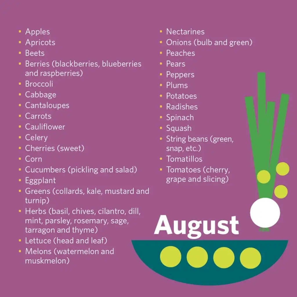 An infographic titled "Michigan Harvest Calendar," detailing the availability of various fruits and vegetables by month, from June to October. The layout includes a stylized map of Michigan, icons of fruits and vegetables like asparagus, cherries, and pumpkins, and corresponding harvest months color-coded in green, yellow, purple, blue, and pink. The infographic is designed with a vibrant color scheme and clear text, useful for identifying local produce peak seasons.