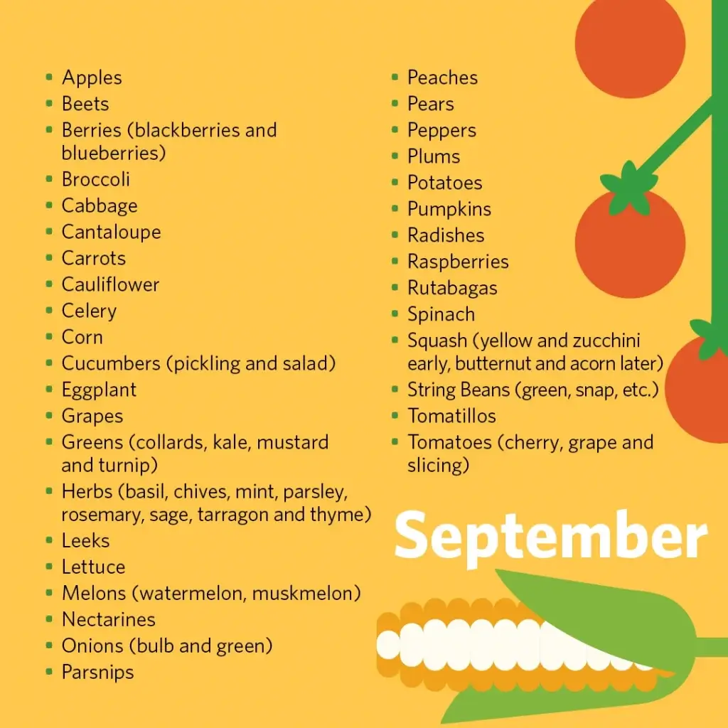 An infographic titled "Michigan Harvest Calendar," detailing the availability of various fruits and vegetables by month, from June to October. The layout includes a stylized map of Michigan, icons of fruits and vegetables like asparagus, cherries, and pumpkins, and corresponding harvest months color-coded in green, yellow, purple, blue, and pink. The infographic is designed with a vibrant color scheme and clear text, useful for identifying local produce peak seasons.