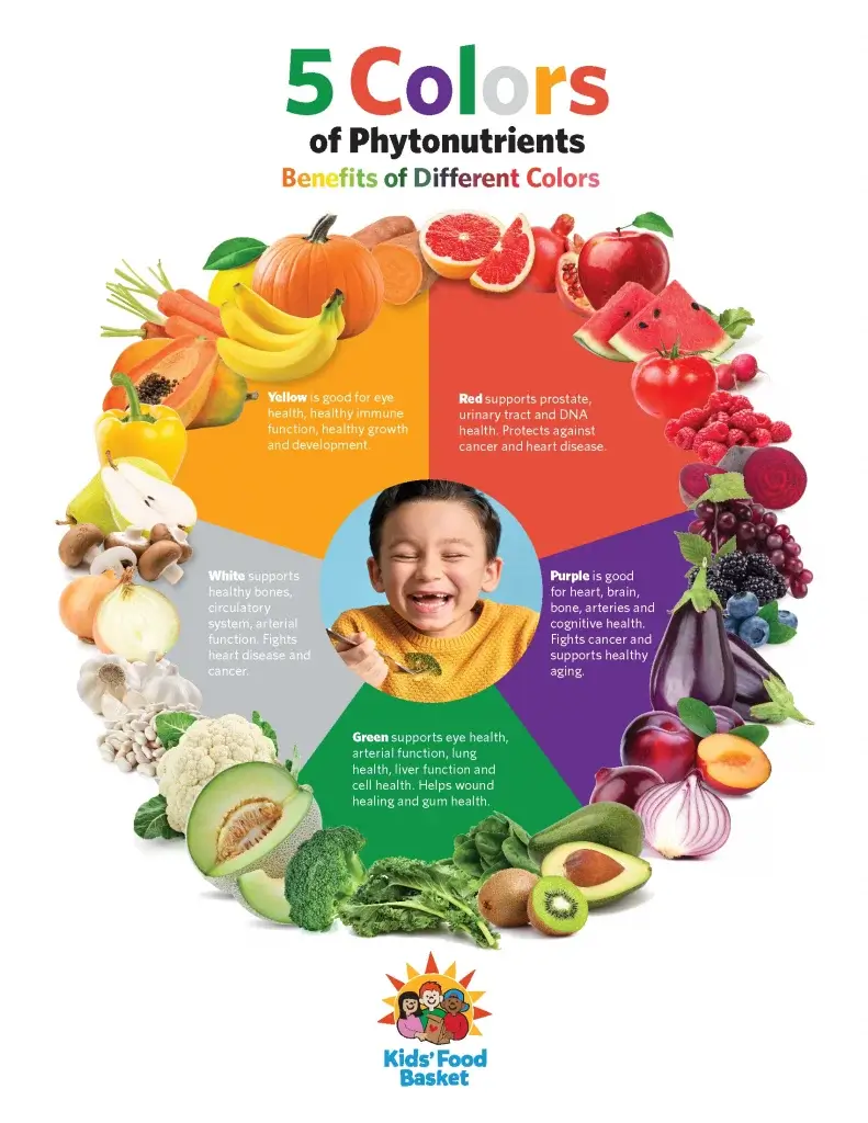 Infographic titled '5 Colors of Phytonutrients, Benefits of Different Colors,' displaying fruits and vegetables grouped by color categories: yellow, red, white, purple, and green, with health benefits listed for each color. Logo of Kids' Food Basket at the bottom.